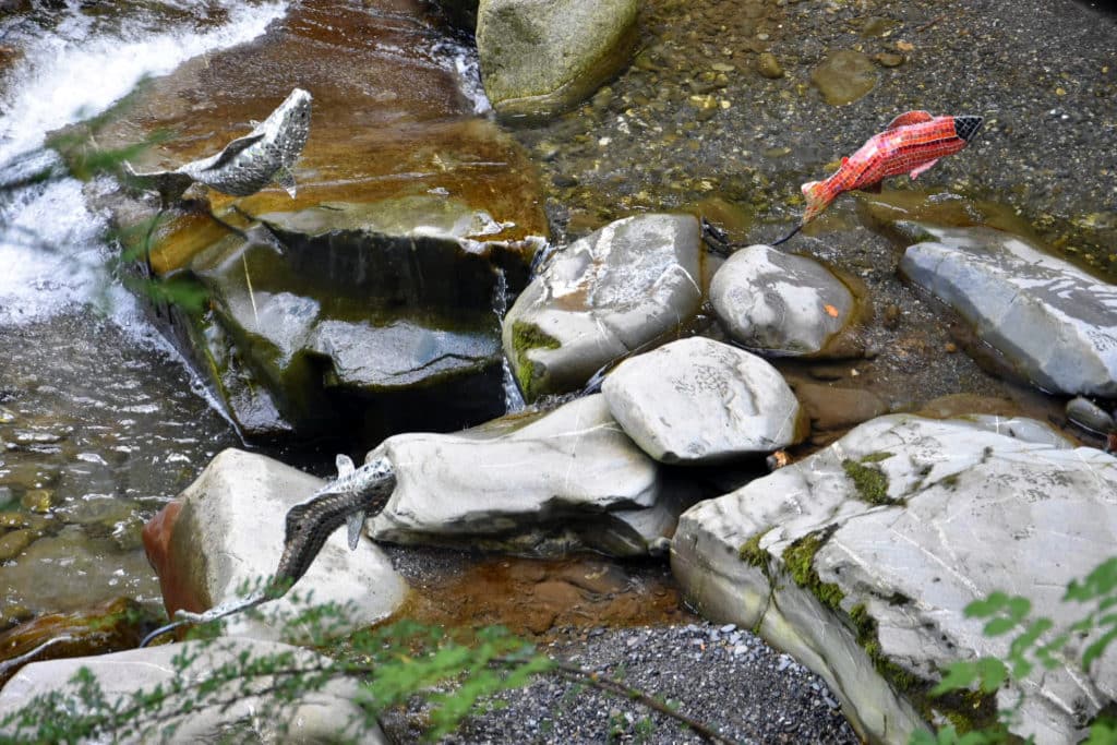 Sculpture Valais 3e Âge de Fer Poisson dans la Vièze Remise à l'eau