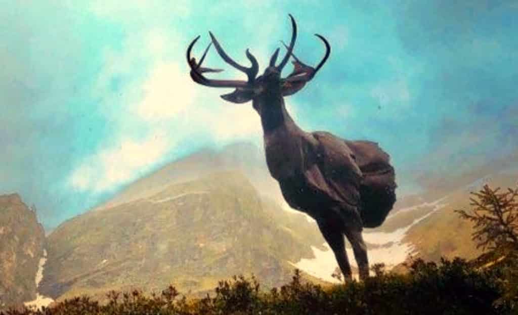 Sculpture Valais 3e Âge de Fer Ailyos à la une Exposition Ailyos art Nature La lioson Les Mosses 2020