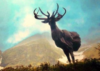 Exposition Ailyos Art Nature Lac Lioson Les Mosses 2020