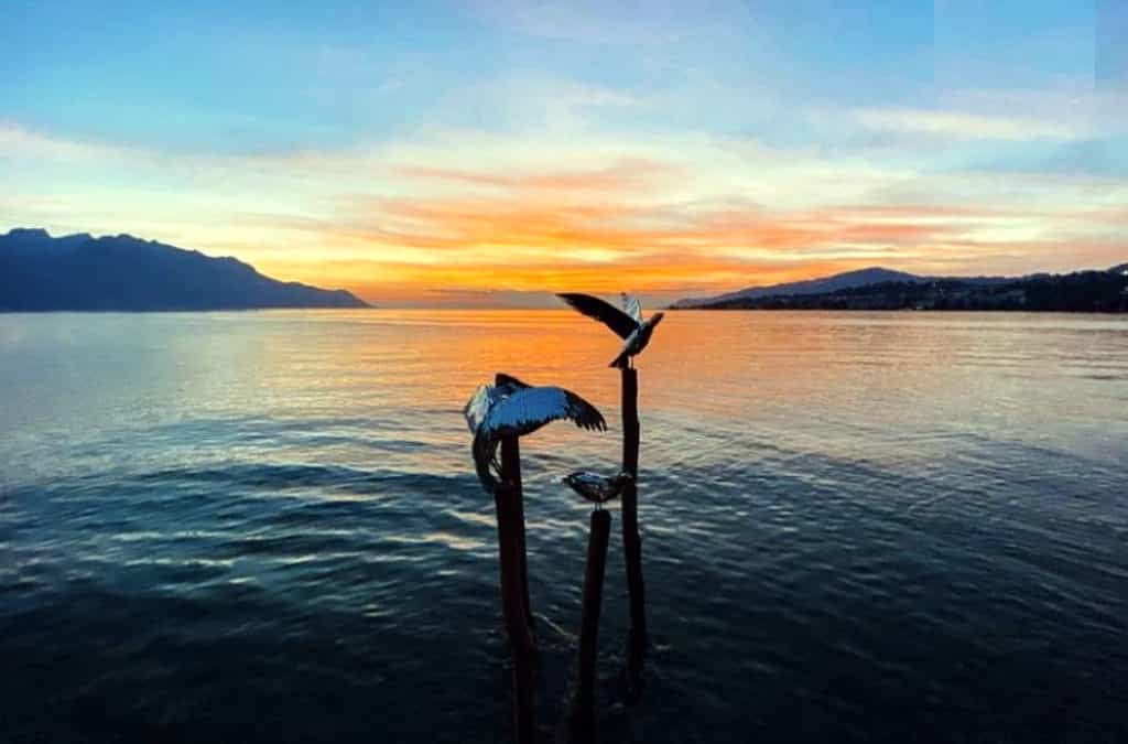 Les Mouettes   Biennale de Montreux 2021