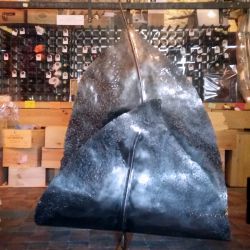 Sculpture Valais - 3e Âge de Fer - Catégorie : Fer - Titre : Feuille - La Guérite