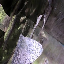 Sculpture Valais - 3e Âge de Fer - Catégorie : Installation - Titre : Ce que j'emporte - Lac de Géronde - Oies migratrices - Gros plan