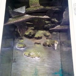 Sculpture Valais - 3e Âge de Fer - Catégorie : Installation - Titre : Ce que j'emporte - Lac de Géronde - Oies migratrices - Vue d'en bas