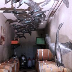 Les oies traversant la cave à barriques. L'une d'entre elles a compris que le vin valait la peine de s'y arrêter!