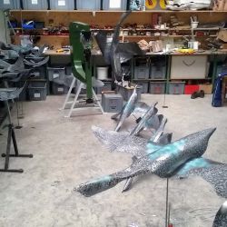 Oies sauvages (plutôt aprivoisées) en préparation