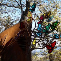 "Papillons de toutes les couleurs"