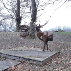 Sculpture Valais 3e Âge de Fer le cerf