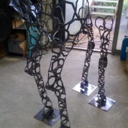 Girafe perdue en Valais