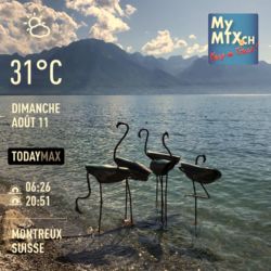Flamants pour la Biennale de Montreux 2019