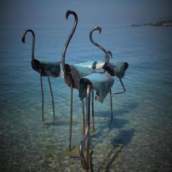 Flamants pour la Biennale de Montreux 2019
