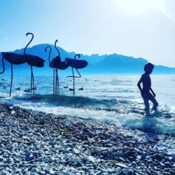 Flamants pour la Biennale de Montreux 2019