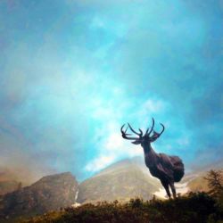 Exposition Ailyos art Nature La lioson Les Mosses 2020