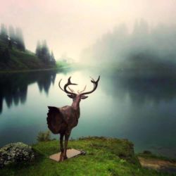 Exposition Ailyos art Nature La lioson Les Mosses 2020