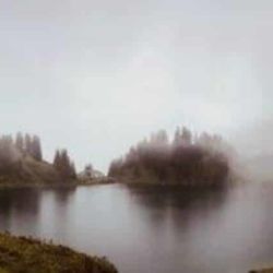 Exposition Ailyos art Nature La lioson Les Mosses 2020