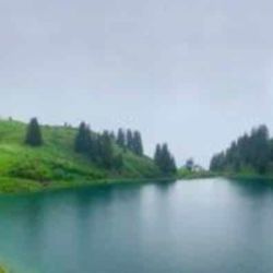 Exposition Ailyos art Nature La lioson Les Mosses 2020