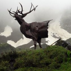 Exposition Ailyos art Nature La lioson Les Mosses 2020