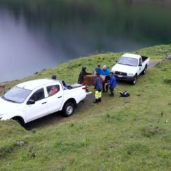 Exposition Ailyos art Nature La lioson Les Mosses 2020