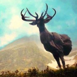 Exposition Ailyos art Nature La lioson Les Mosses 2020