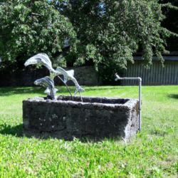 Poissons en route vers la liberté?