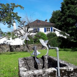 Poissons en route vers la liberté?