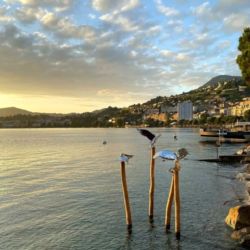 Biennale de Montreux "Les Mouettes"