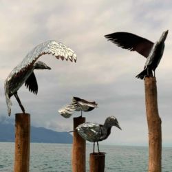 Biennale de Montreux "Les Mouettes"