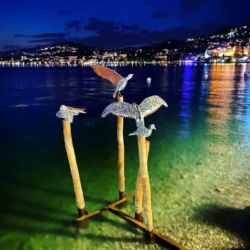 Biennale de Montreux "Les Mouettes"